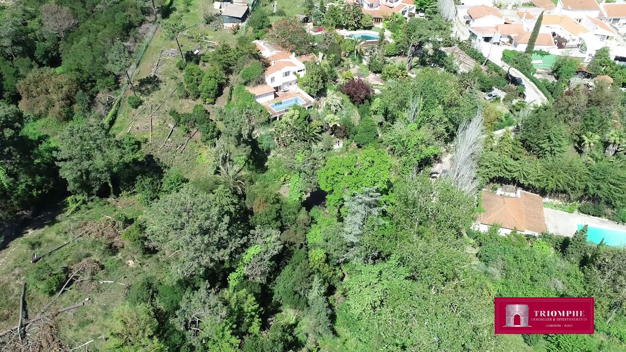 Casa do Outeiro   Quinta do Morgado