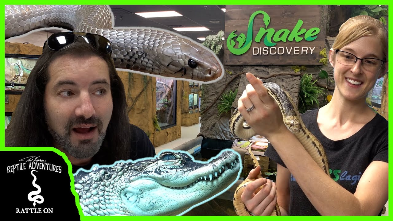 SNAKE DISCOVERY ZOO TOUR! (The Reptile Zoo is Now Open!)