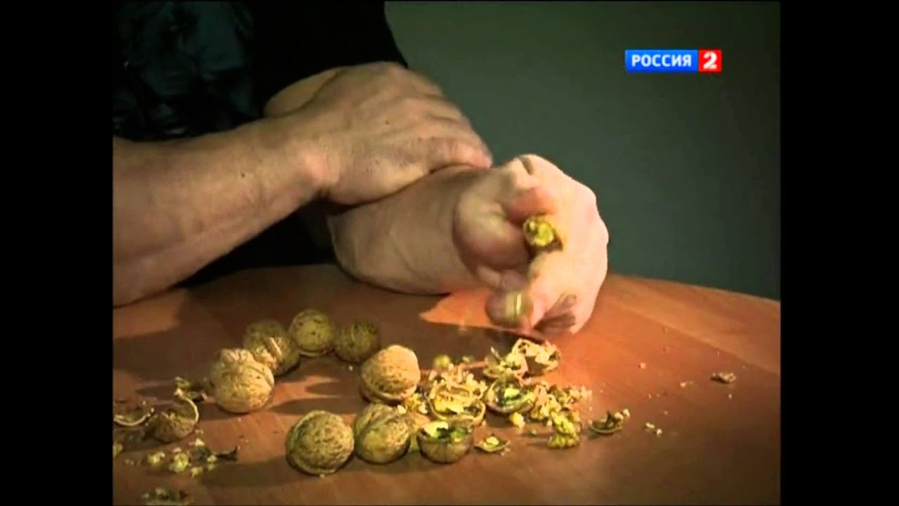 Denis Cyplenkov VS Walnuts