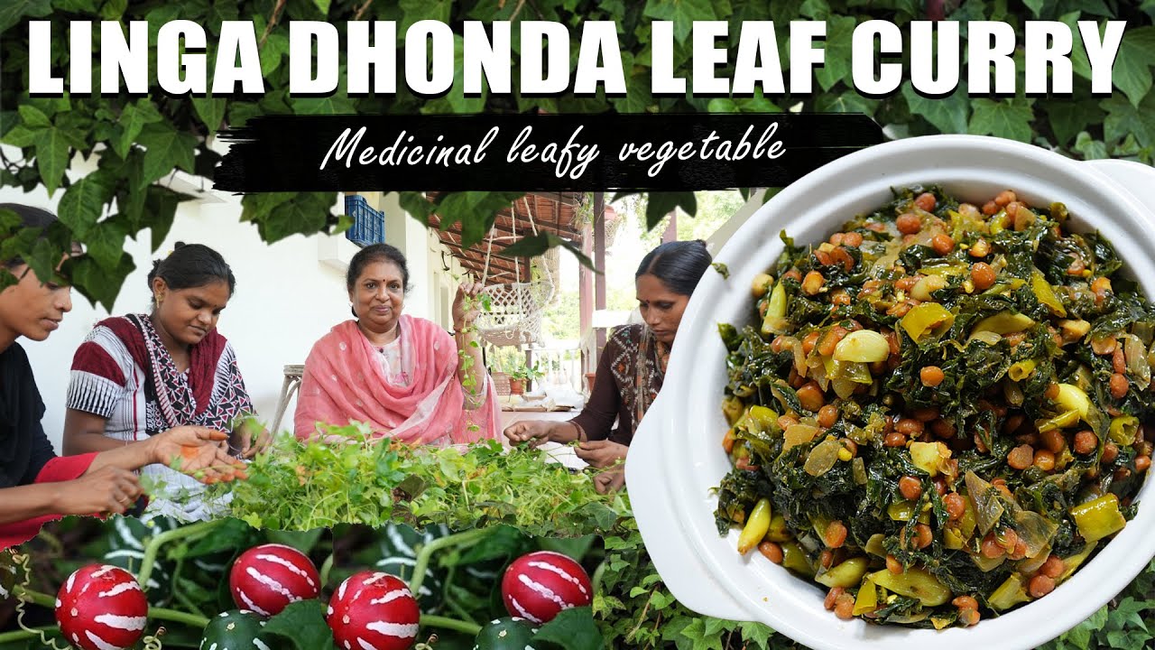 లింగ దొండ ఆకు కూర/Medicinal leafy vegetable/ lolipop climber/ Live village life