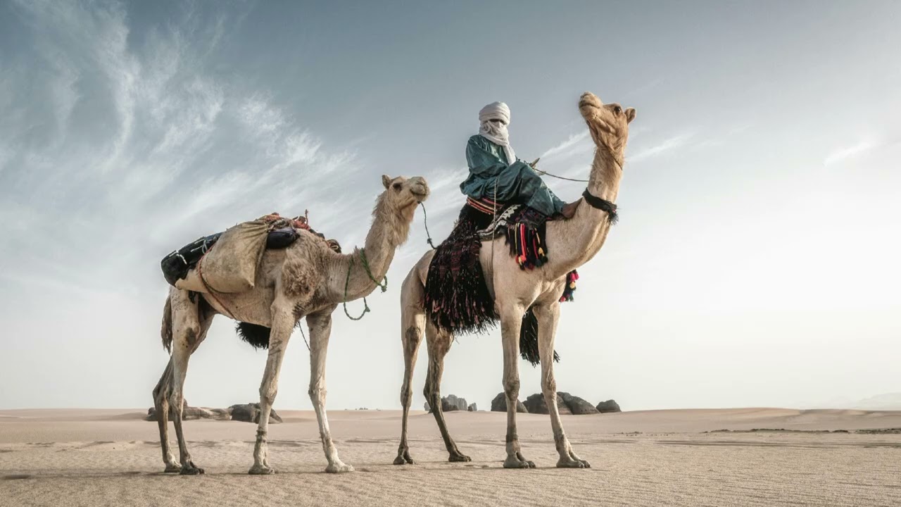 Rahaal – Amazigh Tuareg Desert Journey | Sahara Guitar • Tribal Voices • North Africa Fusion