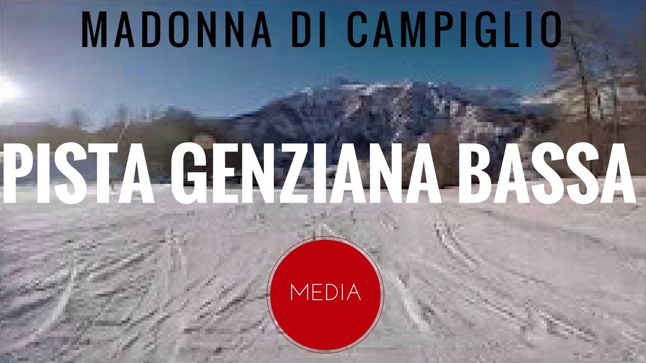 Madonna di Campiglio pista Genziana bassa