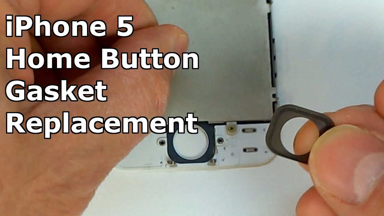 iPhone 5 Home Button Gasket Replacement