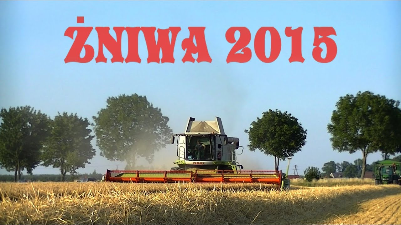 Żniwa 2015||Jęczmień Zimowy||