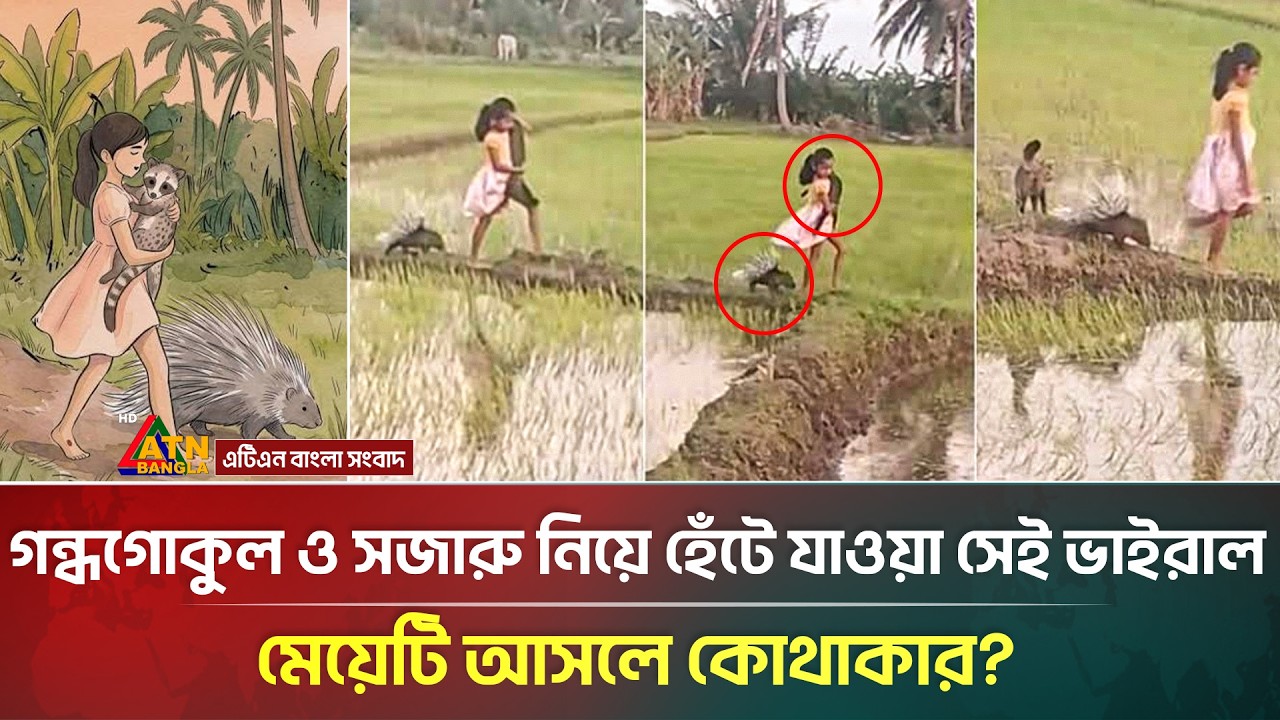 গন্ধগোকুল ও সজারু নিয়ে হেঁটে যাওয়া ভাইরাল মেয়েটি সম্পর্কে যা জানা গেলো! | ATN Bangla News