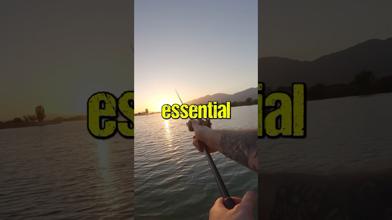 Master the Baitcaster Quick & Easy 🎣