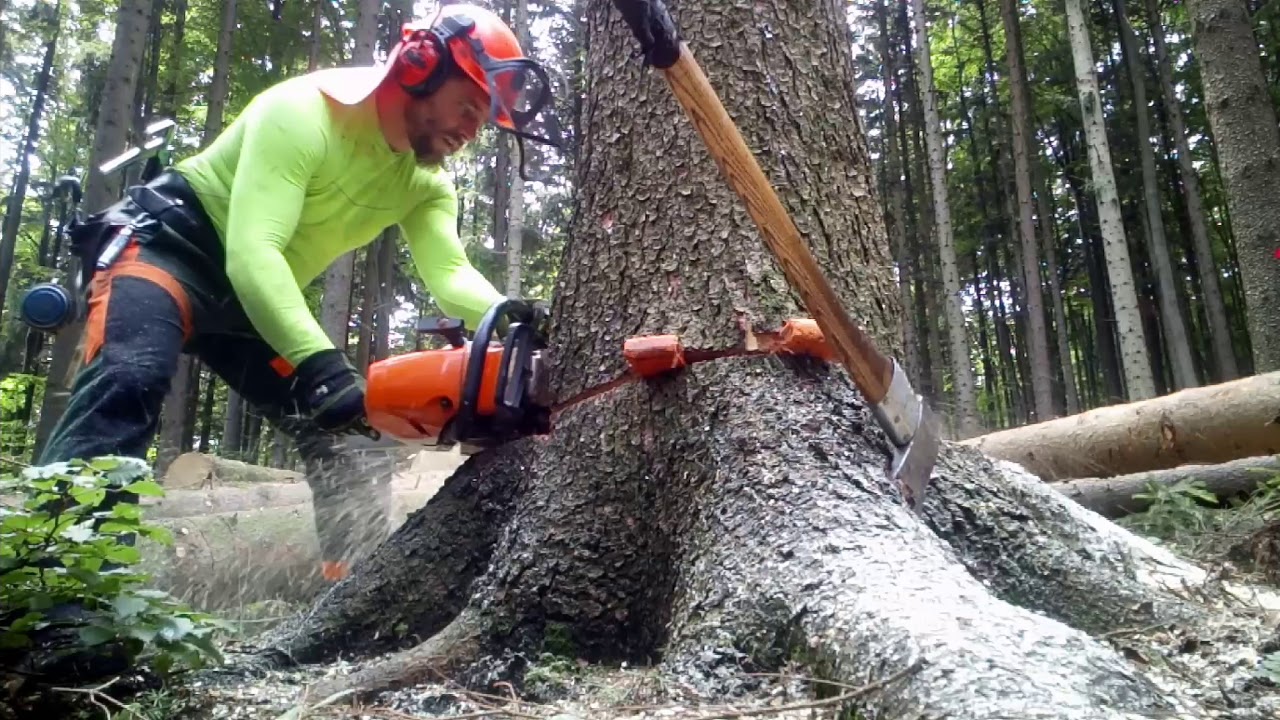 Working in forest, 267-2019, Im wald arbeiten, Práce v lese 🇨🇿