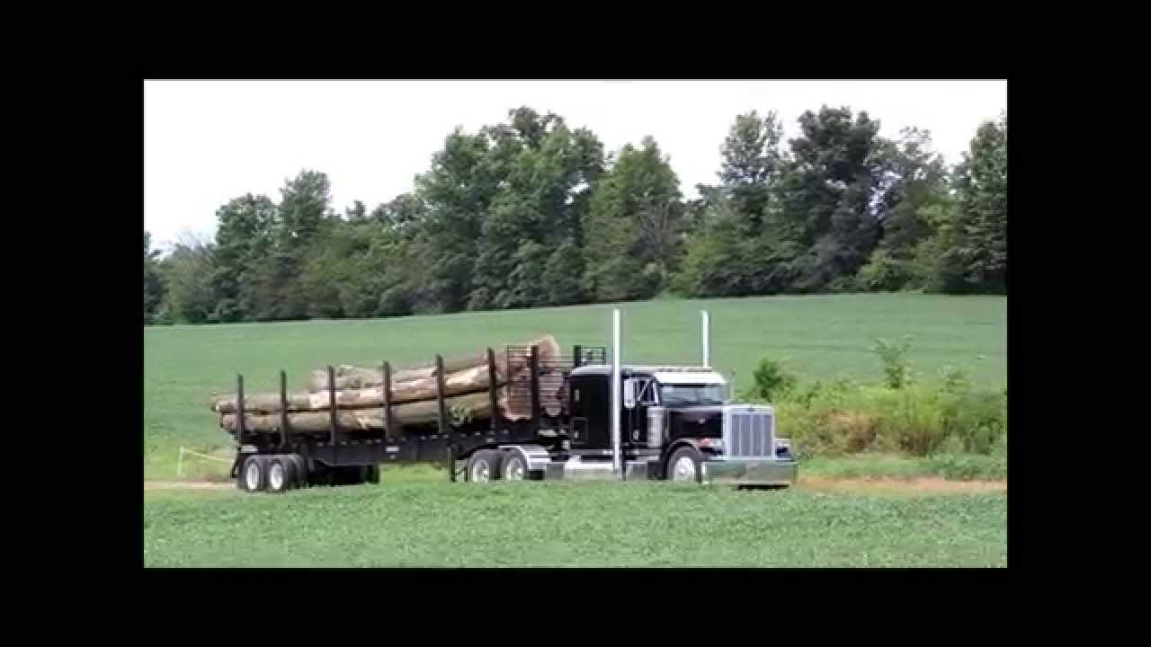 Peterbilt 379 Hauling Logs