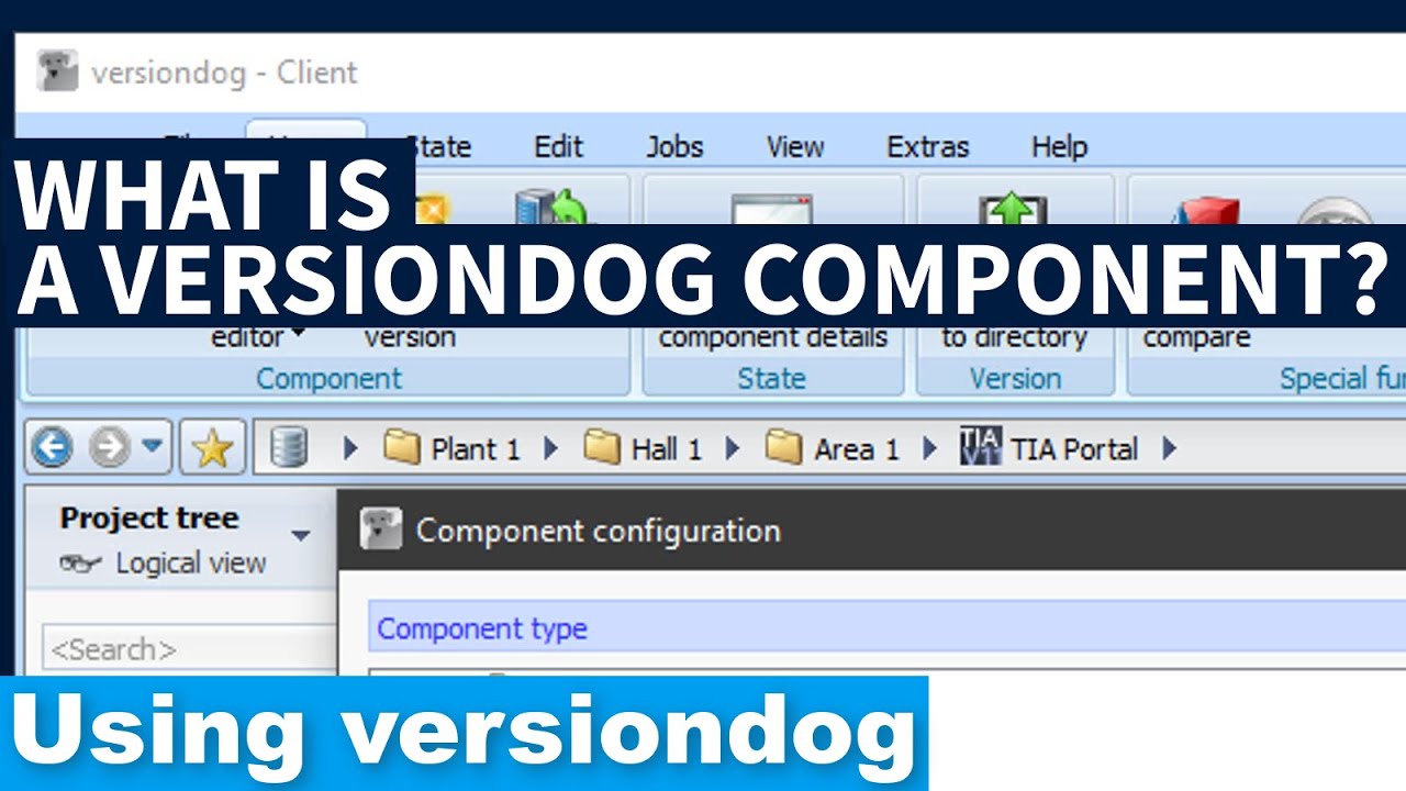 versiondog components for beginners
