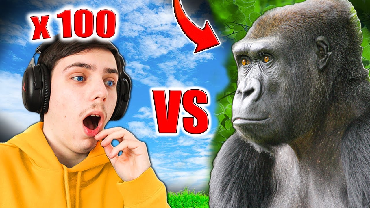 100 de SKY vs 1 GORILA !