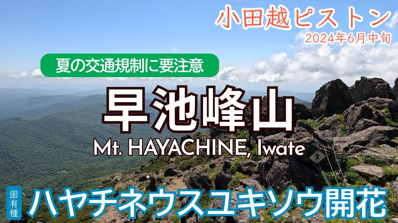 【24年6月】ハヤチネウスユキソウを見に！岩手県百名山早池峰山｜アクセス・駐車場・登山ルート｜Mt. Hayachine, Iwate【SUB/旅VLOG/アフレコ】