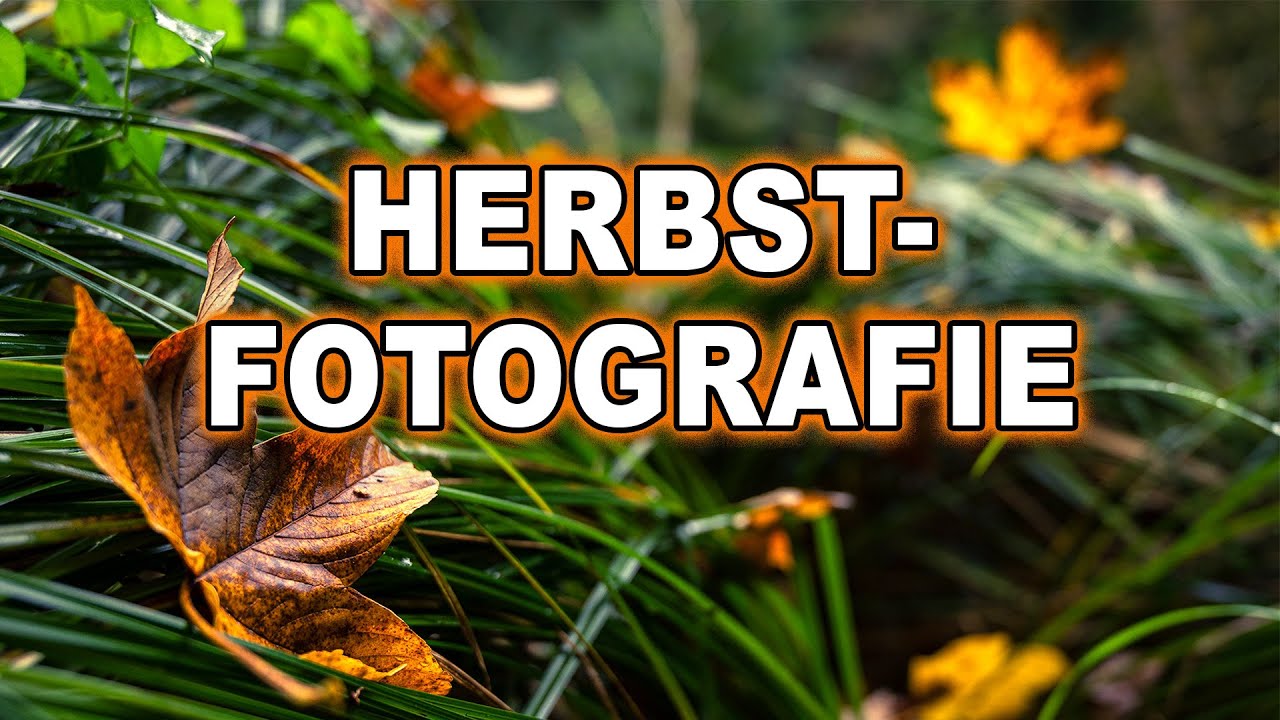 LANDSCHAFTSFOTOGRAFIE im HERBST | Nach dem REGEN ist es am BESTEN
