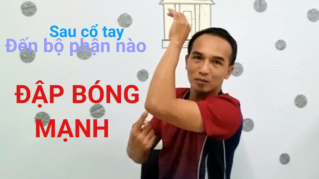 CÁCH ĐẬP BÓNG MẠNH. ELBOW ĐÓNG VAI TRÒ QUAN TRỌNG.ĐỜI SPORT
