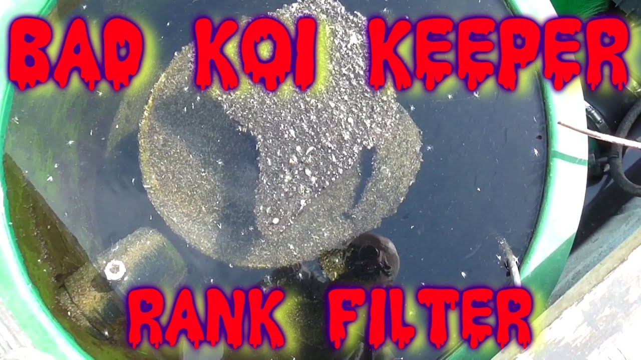 ***DIY KOI POND FILTERS*** UP-FLOW BUILD*** GRAVITY OR PUMP FEED***DIRTY POND FILTER***POND BALL***
