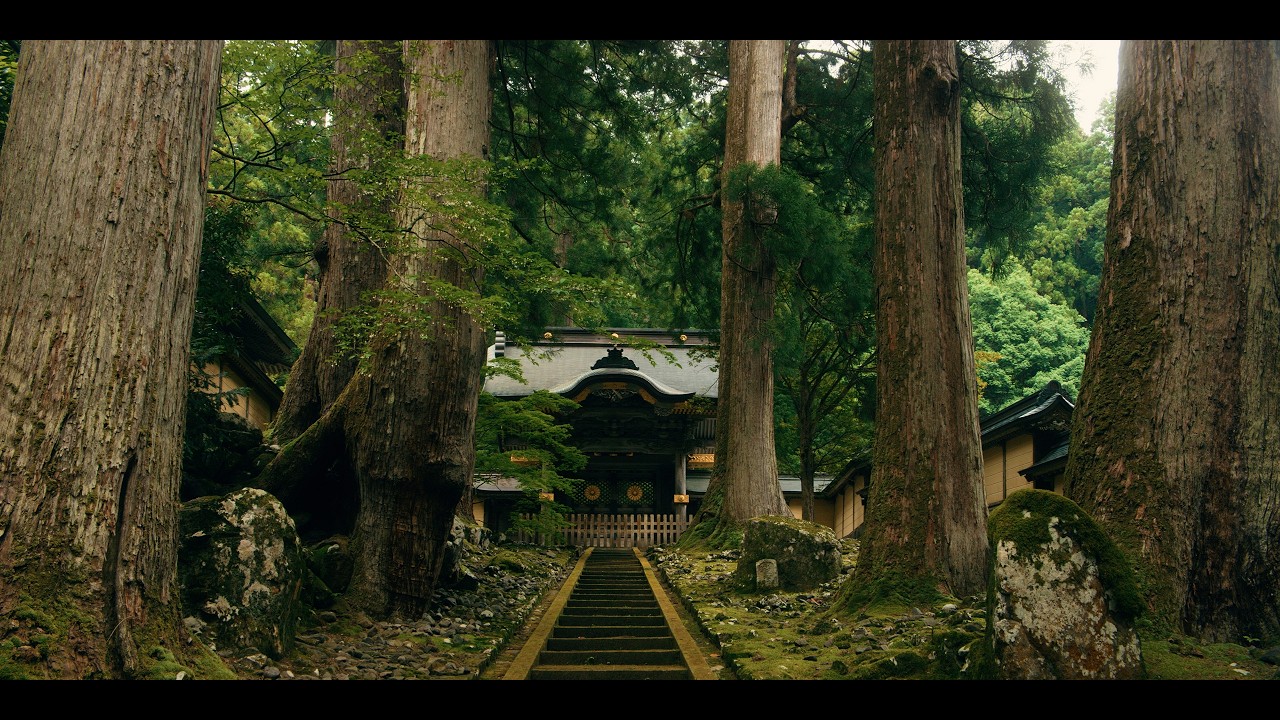 The Temple of Eternal Peace | Ollie Odyssey Japan Vol. 5