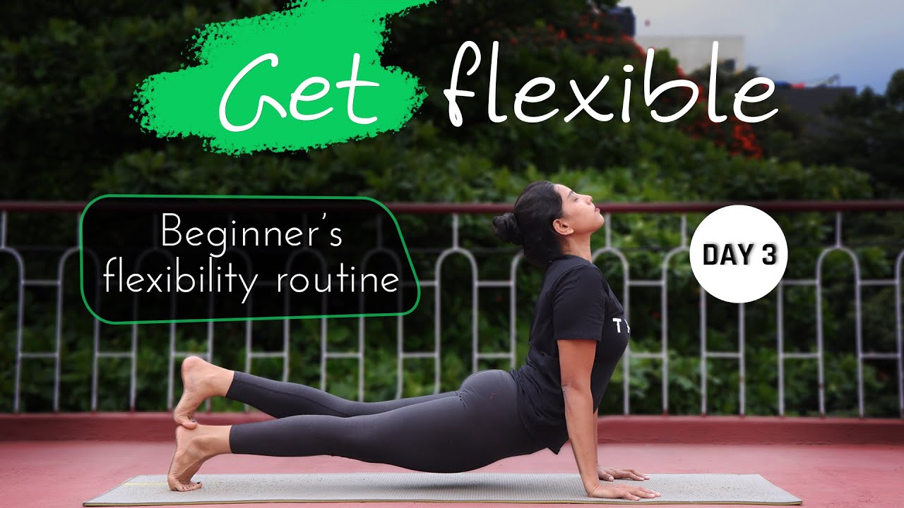 Day 3 of 5 days Daily Stretches for Beginners (Follow Along) | Yoga Sessions For Beginners