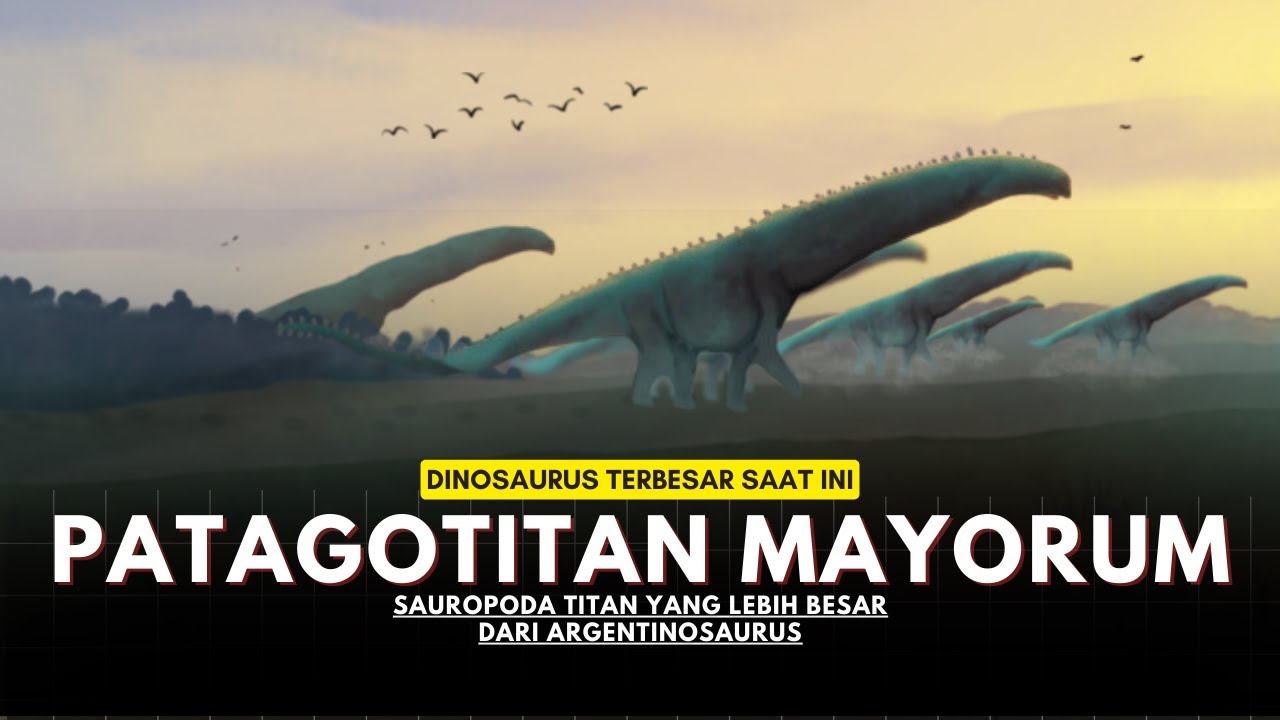 DINOSAURUS TERBESAR SAAT INI, Patagotitan Mayorum, Lebih Besar dari Argentinosaurus