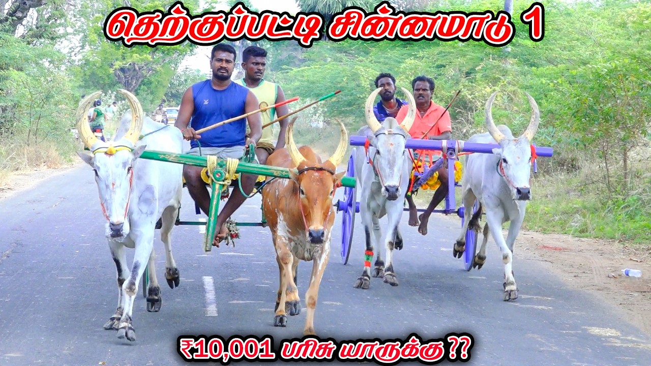 1தெற்குப்பட்டி-சின்னமாடு-பந்தயம்_11.03.2026_V_Photography