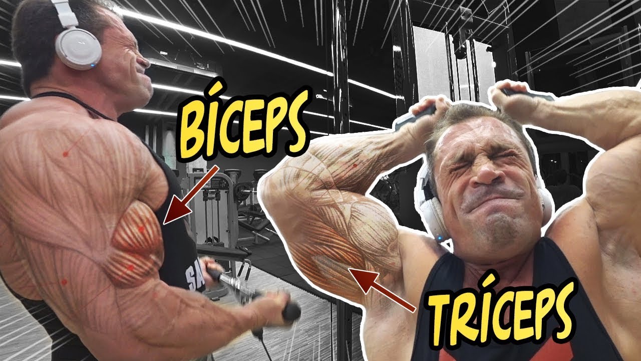Treino COMPLETO de Bíceps e Tríceps -  O que há por trás dessa técnica?