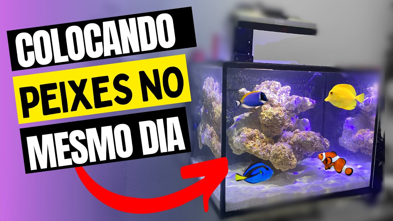 MONTANDO UM AQUÁRIO MARINHO DE 120 LITROS
