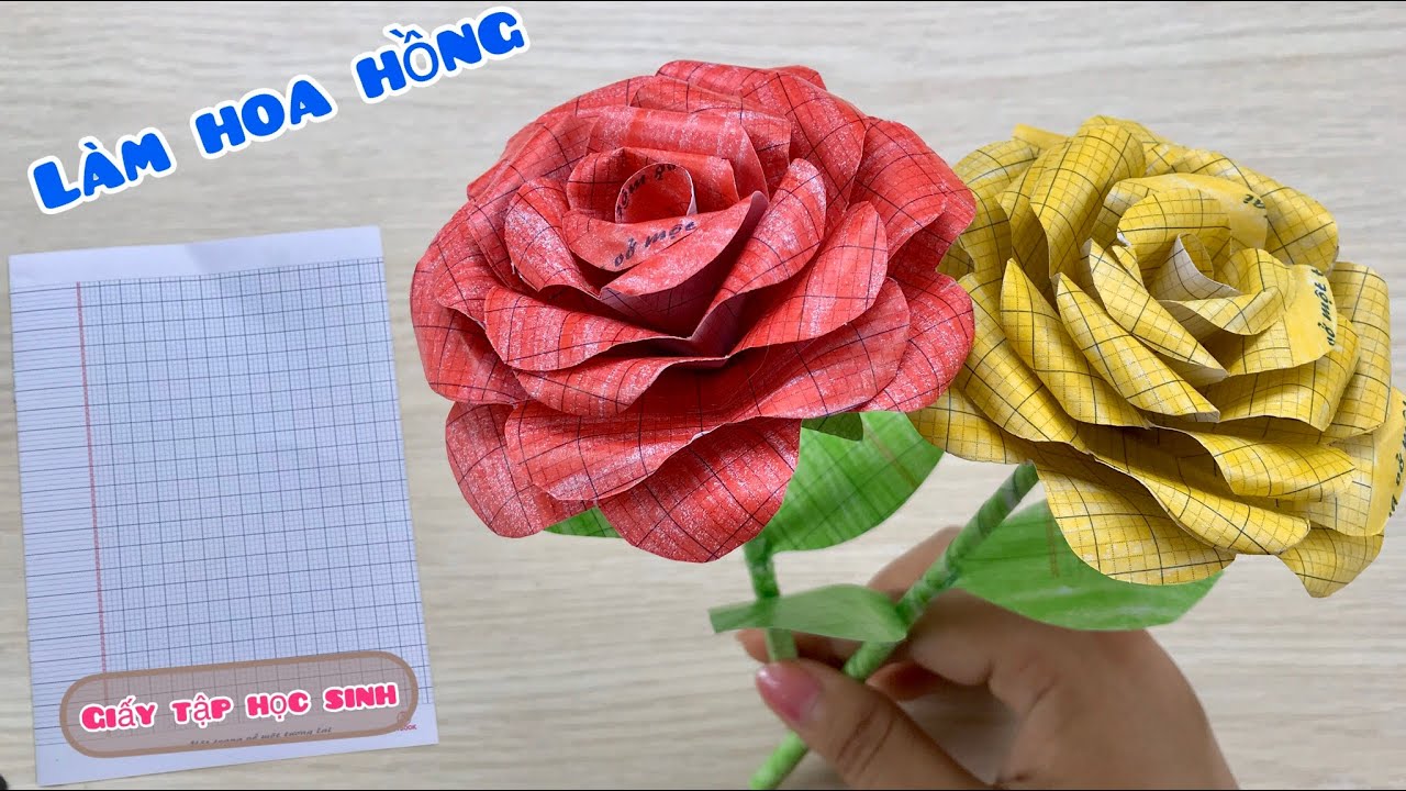 (663) Cách làm hoa hồng bằng giấy ô li học sinh | làm hoa hồng tặng mẹ 20/10