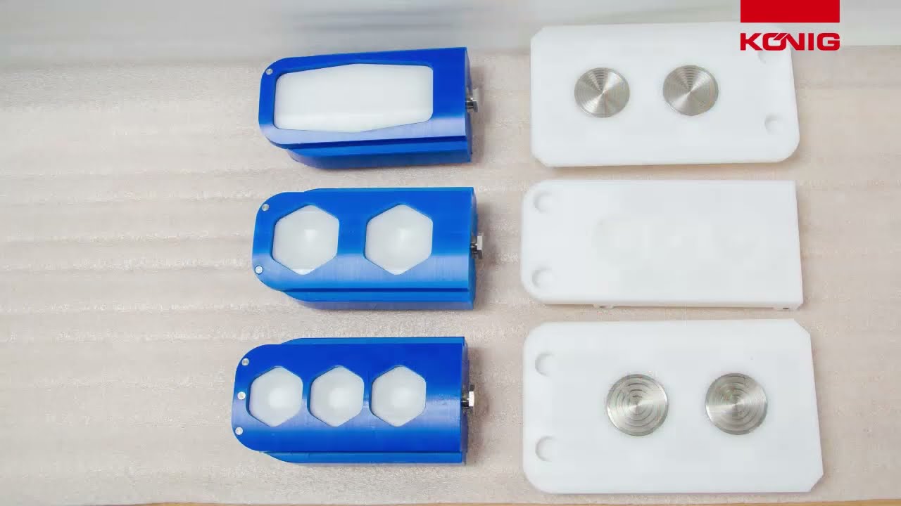 Mini Rex Multi 2015