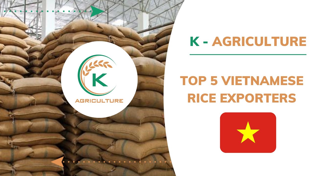 Top 5 Vietnamese rice exporters | K-Agriculture