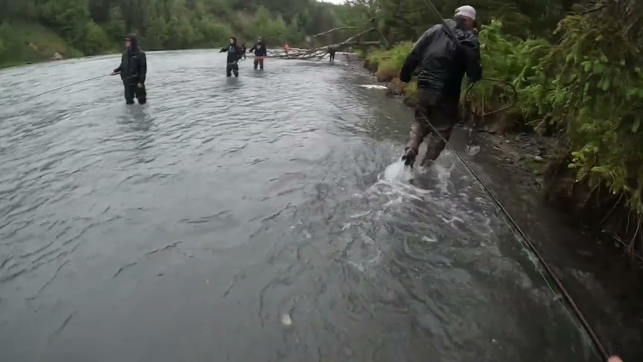 Sockeye Salmon Fishing On The Kasilof River