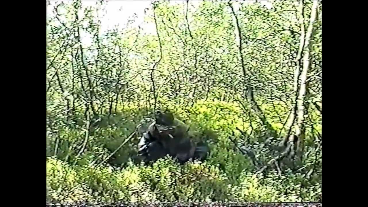 + Заполярье. Поисковики на 63 км
