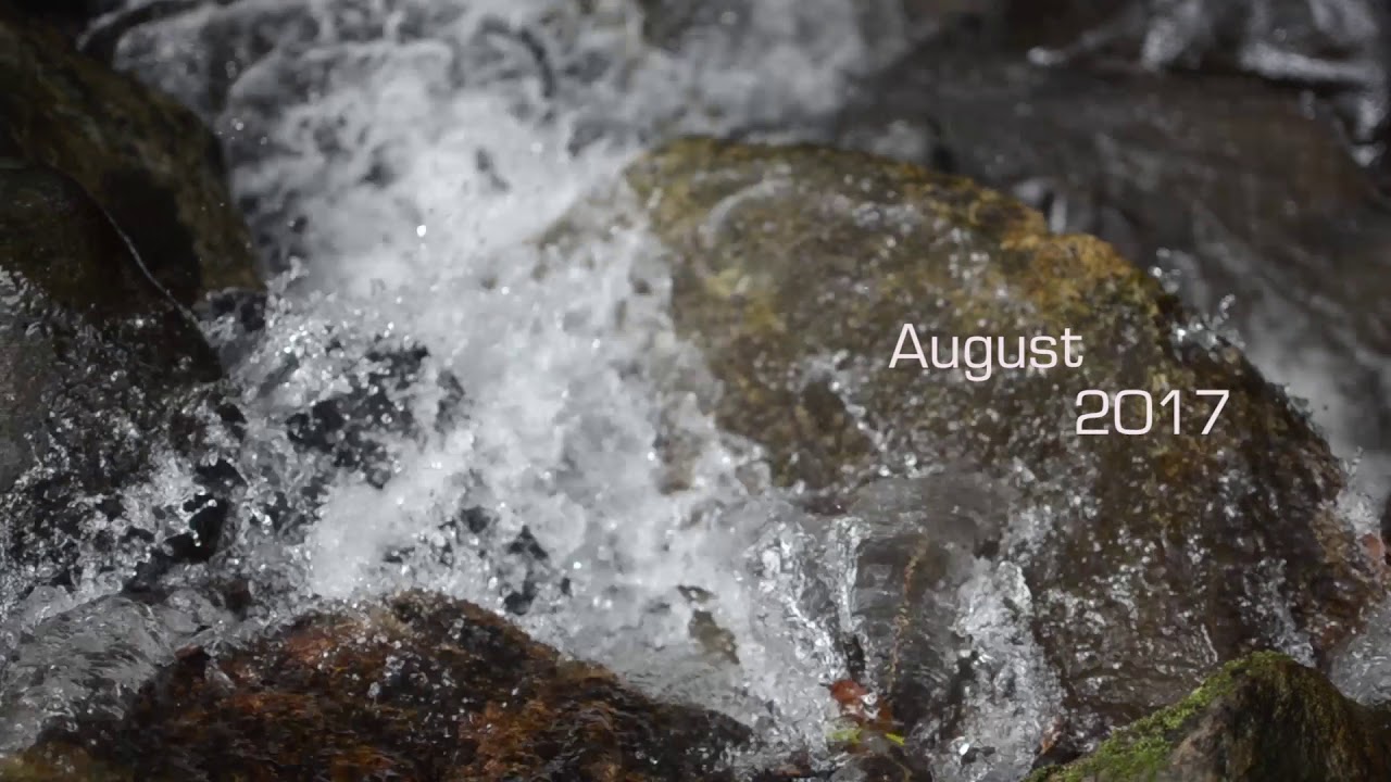 Didupe Diaries teaser