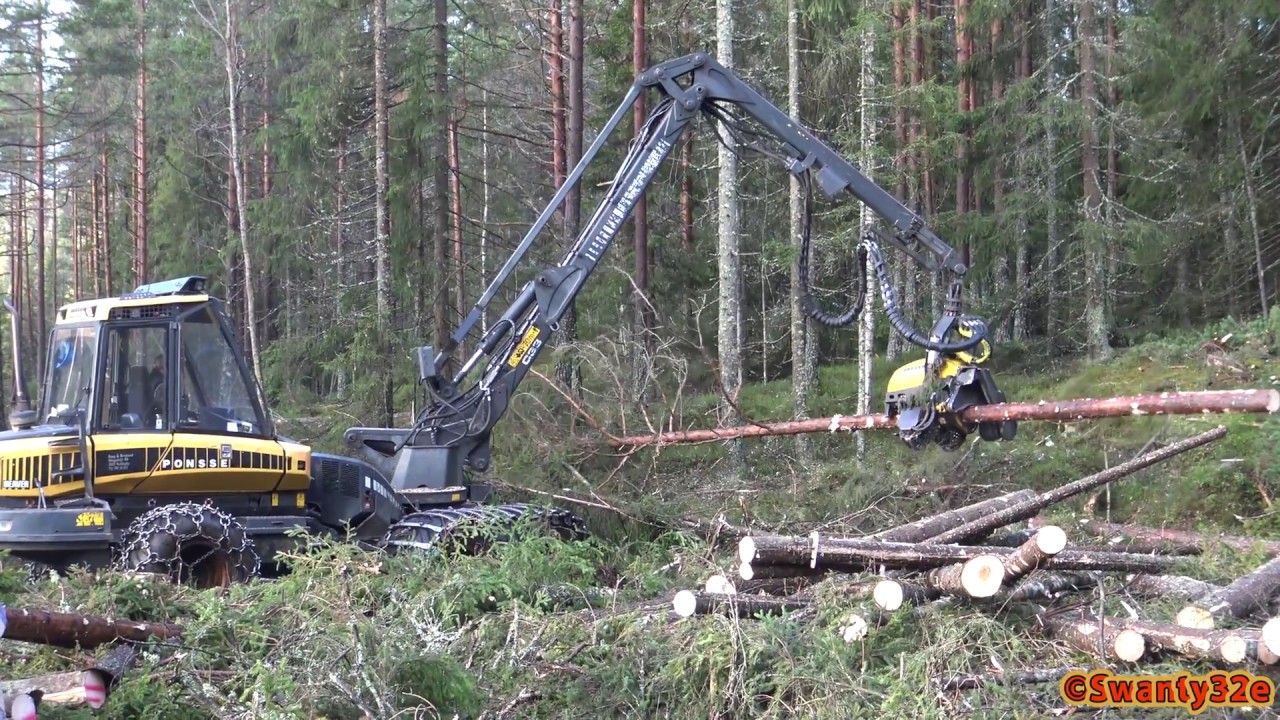 4K| Ponsse Beaver Harvester Thinning