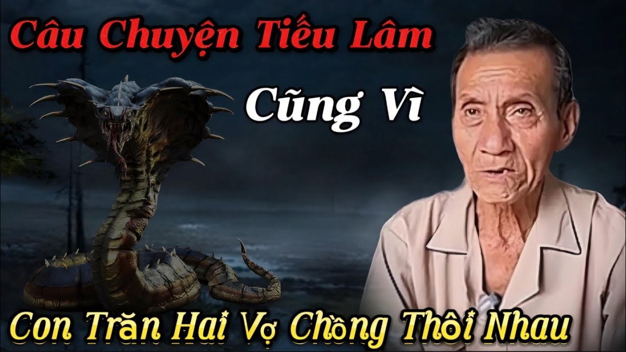 Chuyện Tiếu Lâm Cũng Vì Con Trăn Hai Vợ Chồng Thôi Nhau...