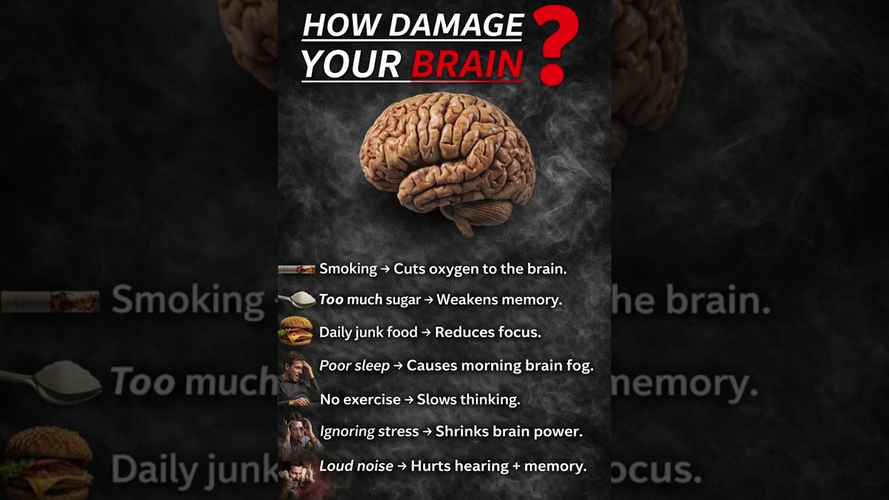 Habits that damage your brain | Brain damaging habits