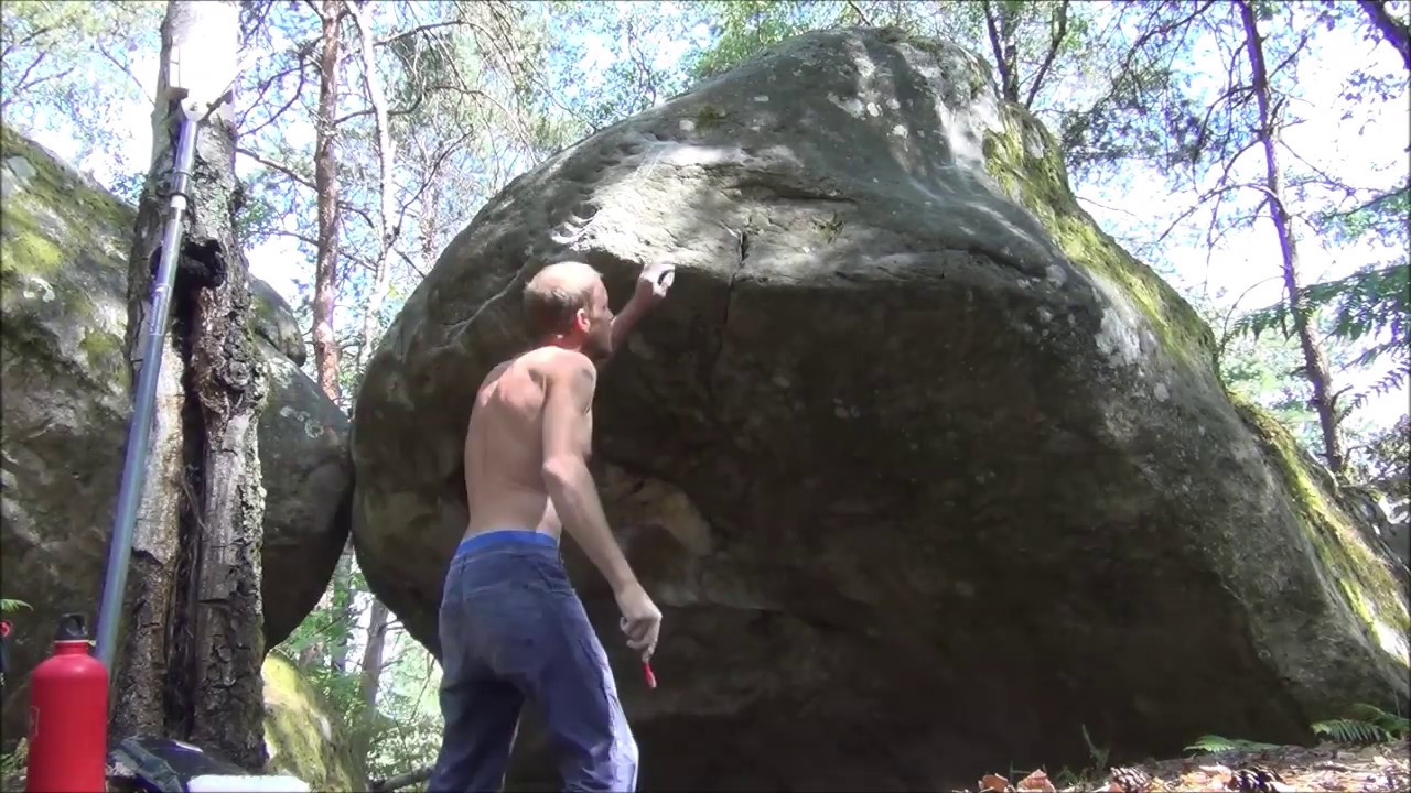 Fontainebleau - Coquibus Auvergne - King Crotale 7C