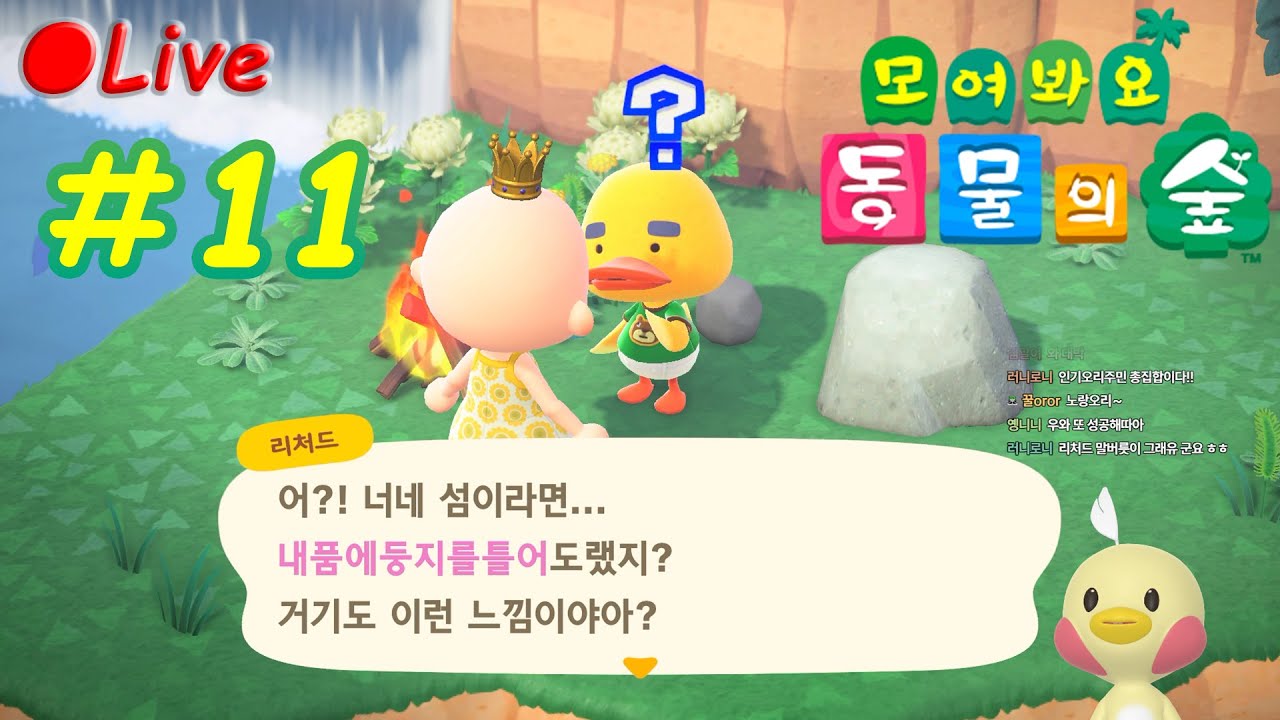 20250823|💵🐥졸부 등장 11일차 [모여봐요 동물의 숲/Animal Crossing New Horizons]