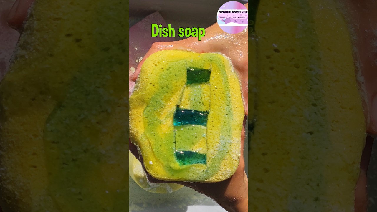 ASMR Dish soap sponge squeezes 🫧 #shorts #squeeze #spongesqueeze #satisfying