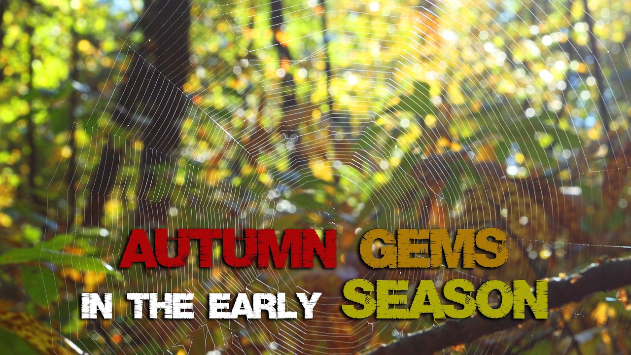 🍂 Scouting Early Fall Foliage 🍂🎃 and Picking our Pumpkins