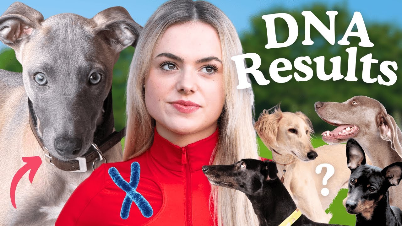 I was SHOCKED at my Rescue DOG's DNA TEST!