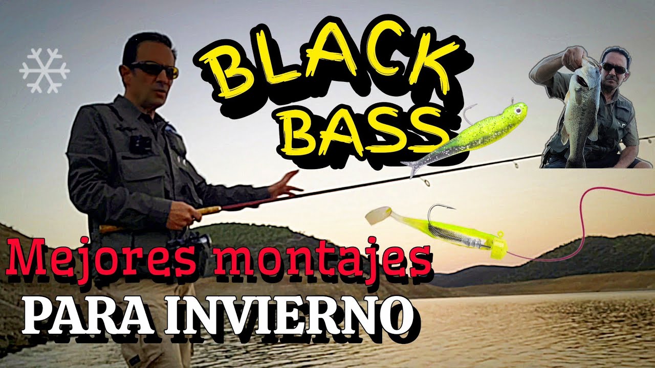 🌧MEJORES SEÑUELOS, EFICACES TÉCNICAS Y SENCILLOS MONTAJES PARA LA PESCA DEL BLACK BASS EN INVIERNO.