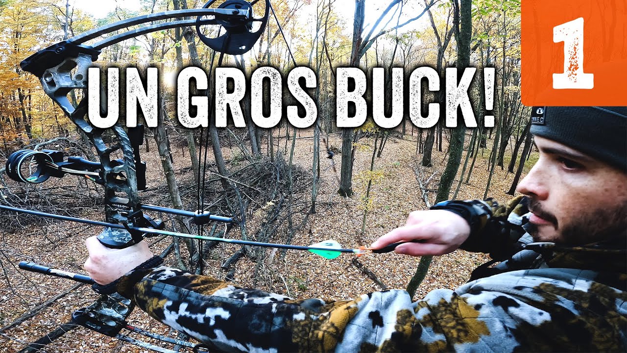UN GROS BUCK du Michigan!🤯 (Chasse à l'arc)