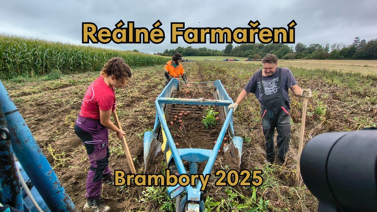 [Reálné Farmaření] #26 Brambory 2025