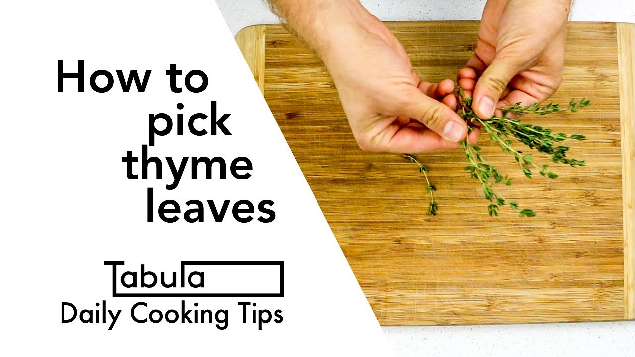 How to pick thyme leaves