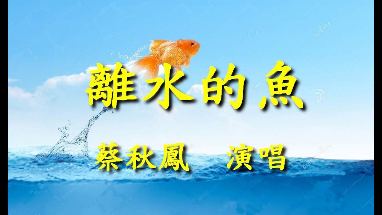 離水的魚                                                                       蔡秋鳳   演唱