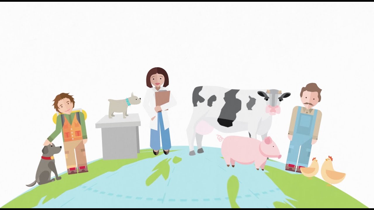 Animation: Animal Health Motion Graphic