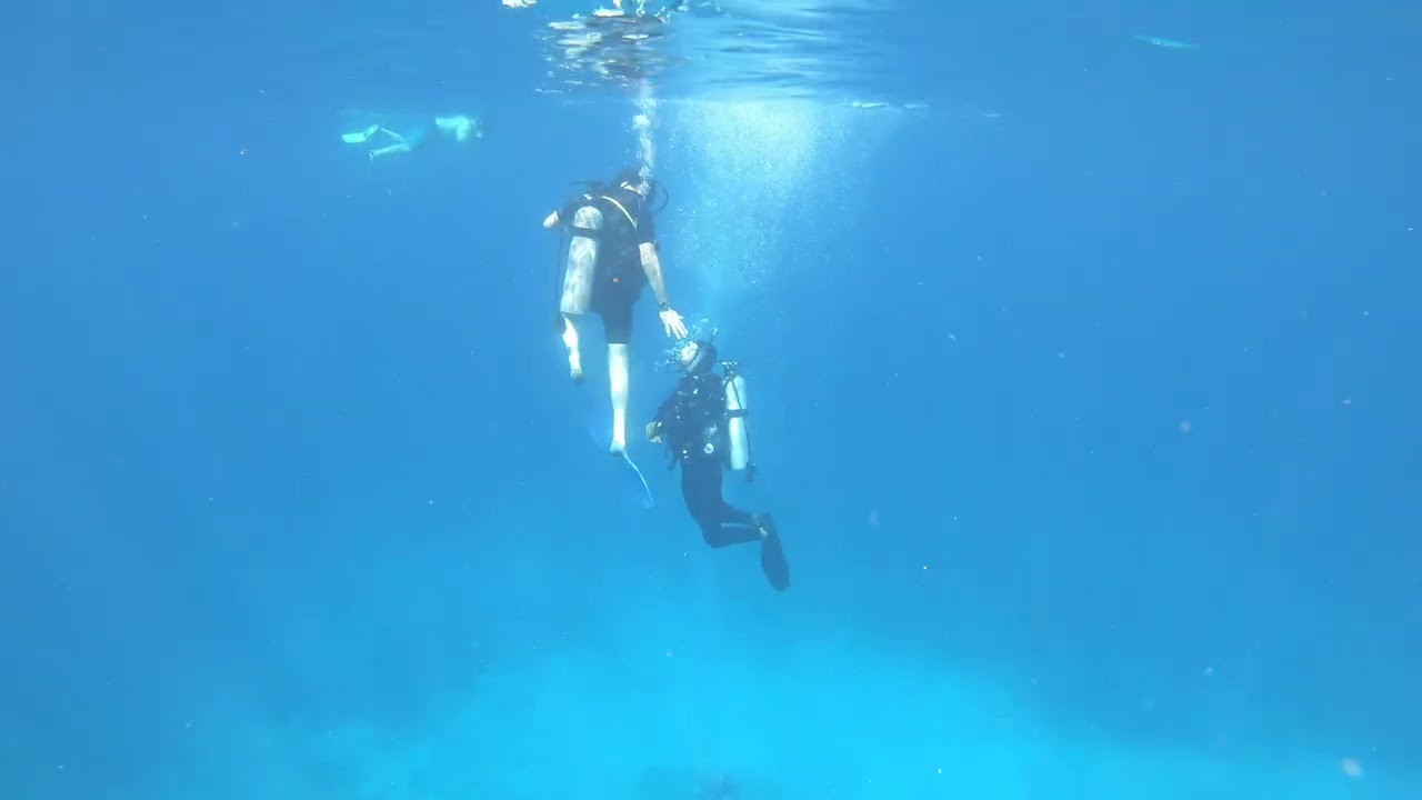 2023 USVI St Thomas Snorkle (3/6/23)