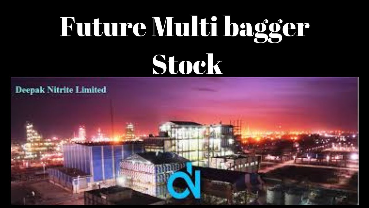 Future Multibagger Stock - Deepak Nitrite Ltd