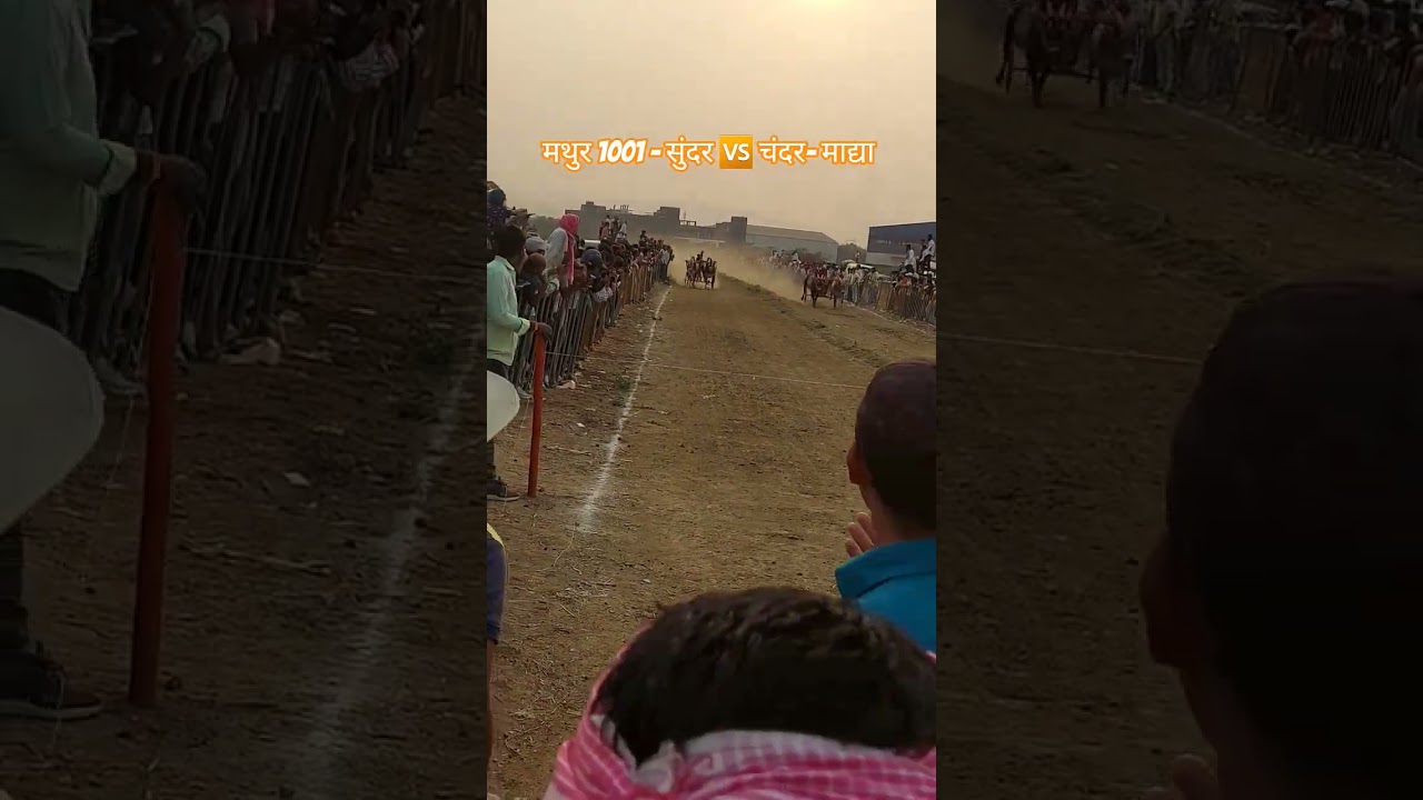 Mathur 1001 - Beautiful 🆚️ Chandar- Madya #mathur