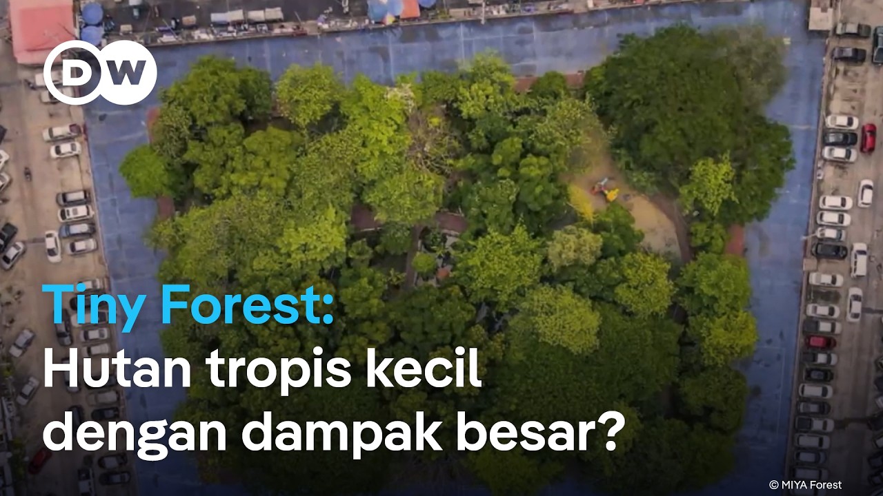 Hijaukan perkotaan dengan konsep 