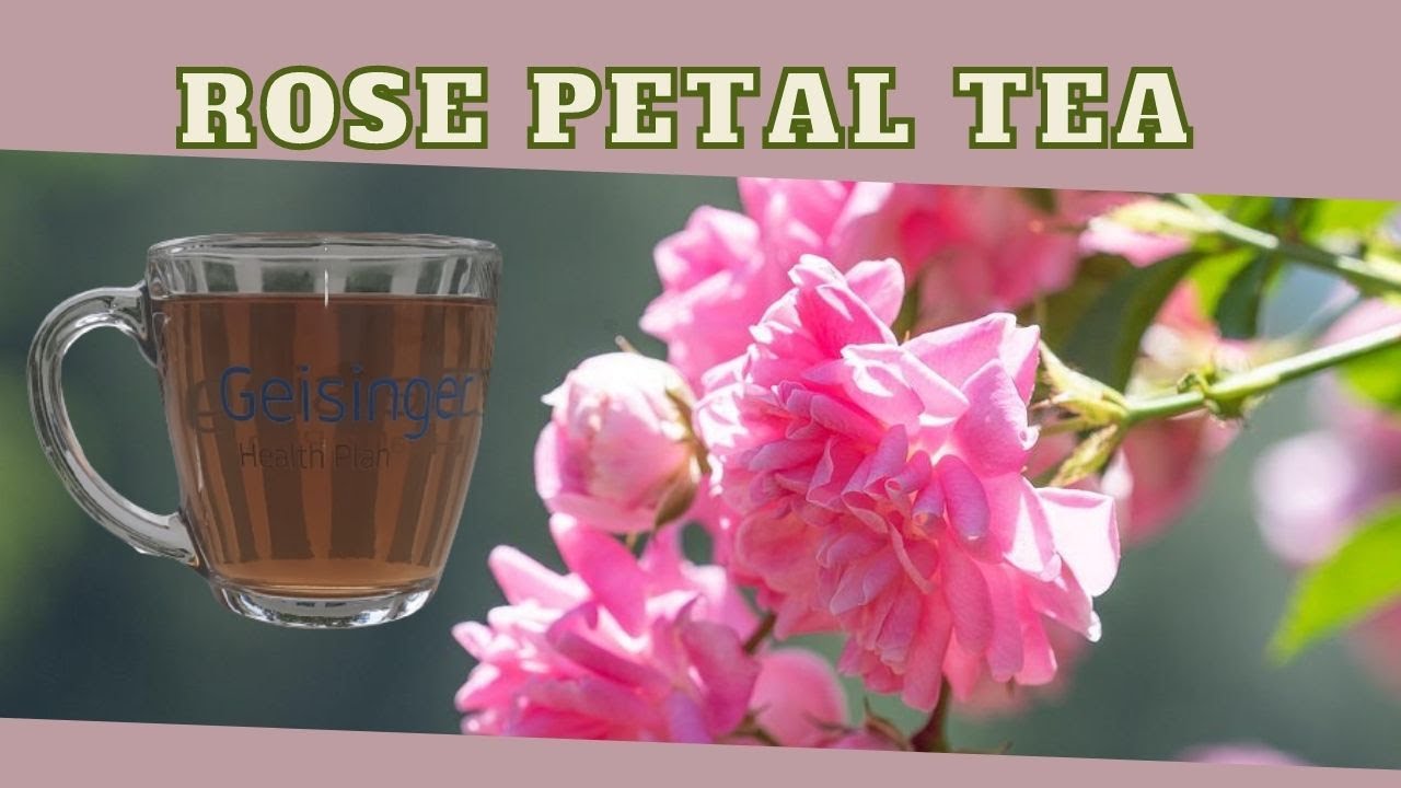 Rose Tea BENEFITS, RECIPE & PRECAUTIONS / Earth's Medicine