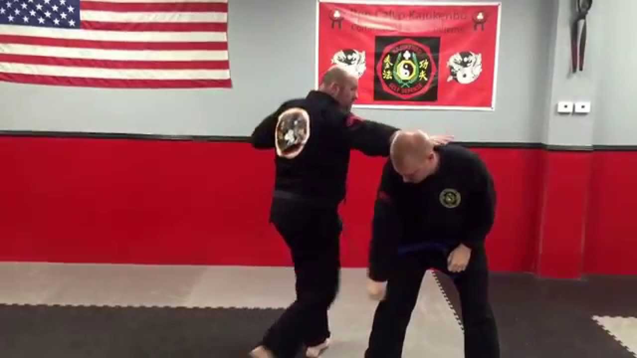 Kajukenbo punch counters 16-20